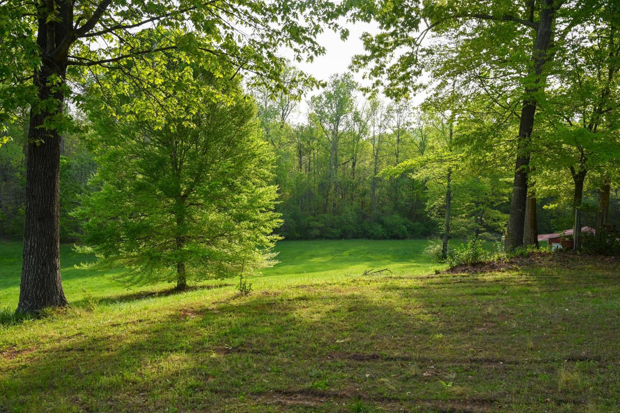 Southern Home And Fishing Lake. Gainesville Exteriör bild